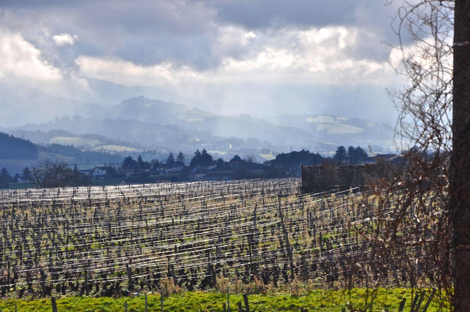 Le Clos Du Cher En Beaujolais Saint-Germain-Nuelles Dış mekan fotoğraf