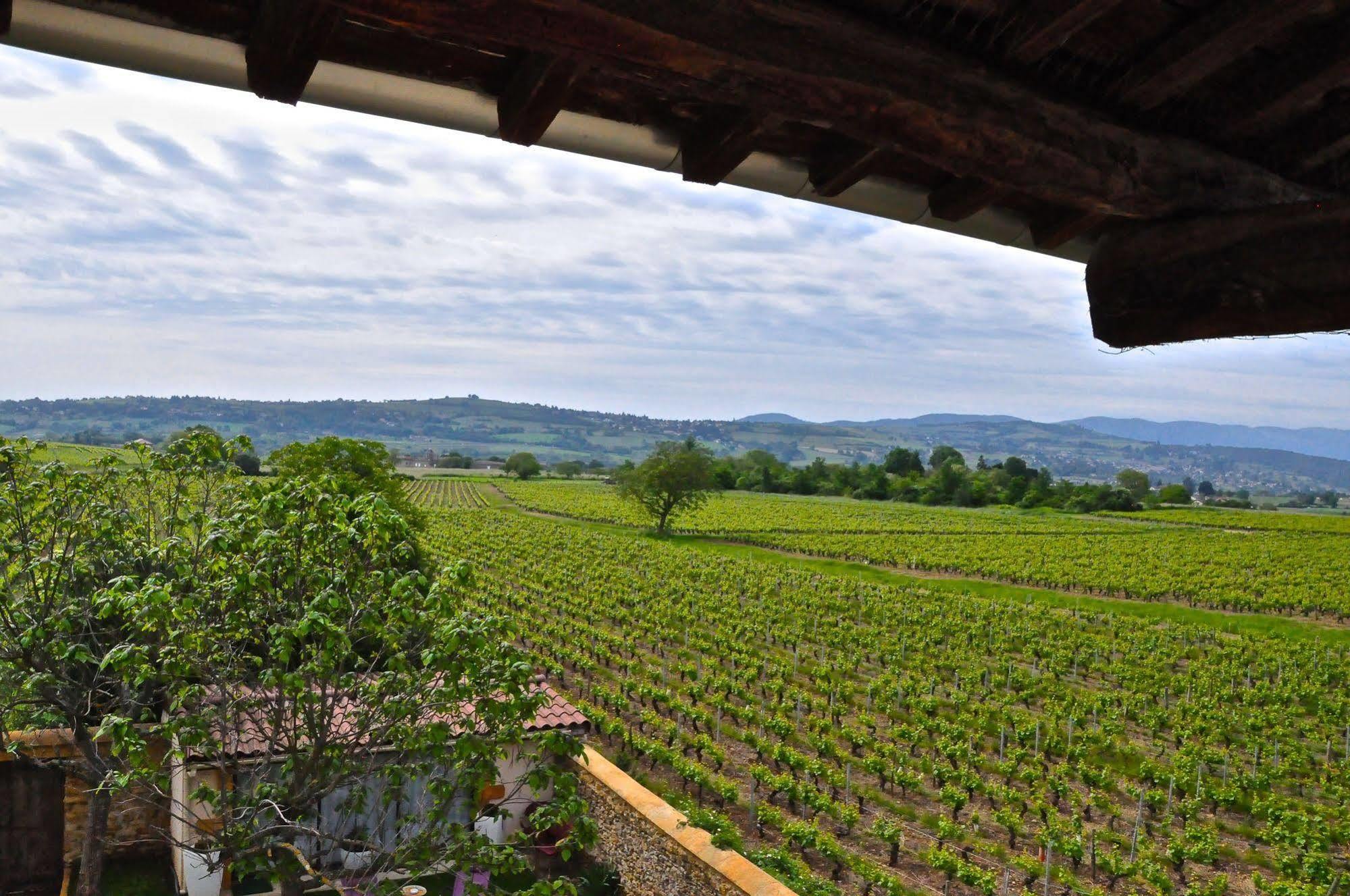Le Clos Du Cher En Beaujolais Saint-Germain-Nuelles Dış mekan fotoğraf