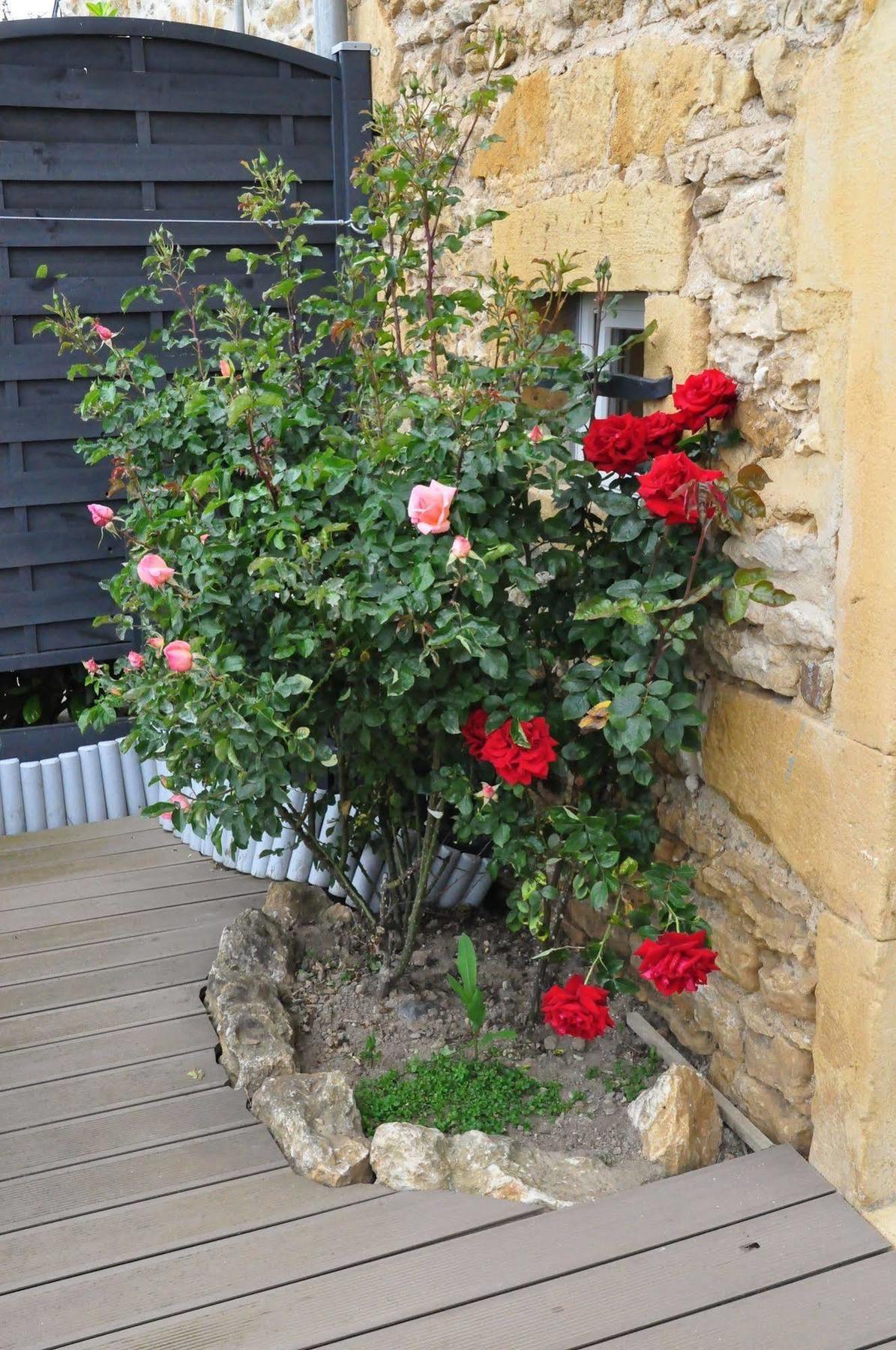 Le Clos Du Cher En Beaujolais Saint-Germain-Nuelles Dış mekan fotoğraf