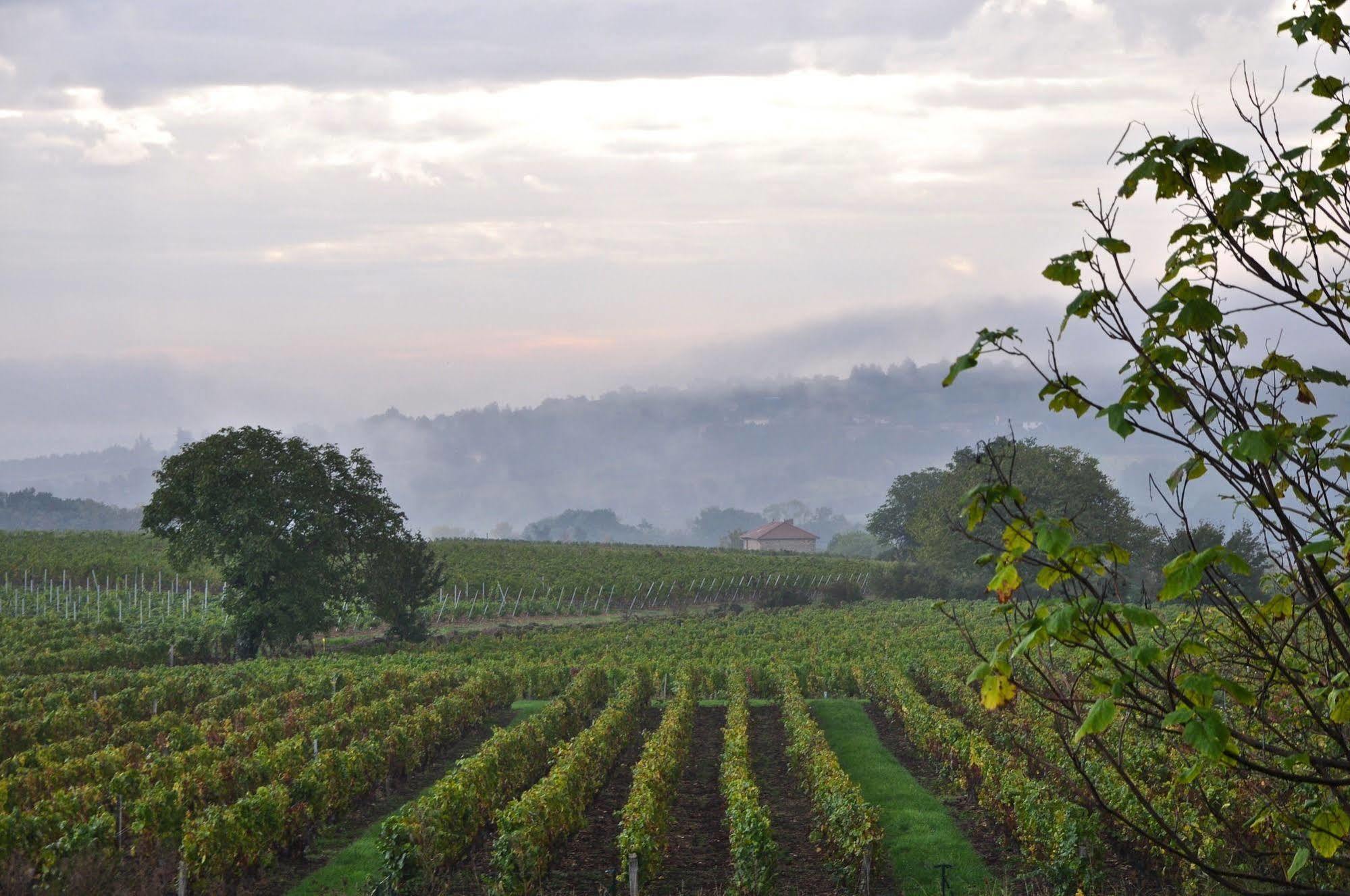 Le Clos Du Cher En Beaujolais Saint-Germain-Nuelles Dış mekan fotoğraf