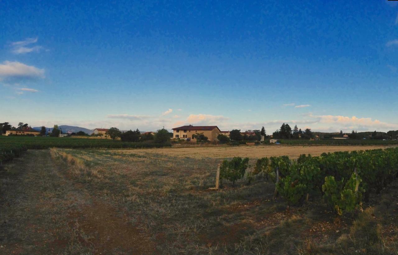 Le Clos Du Cher En Beaujolais Saint-Germain-Nuelles Dış mekan fotoğraf