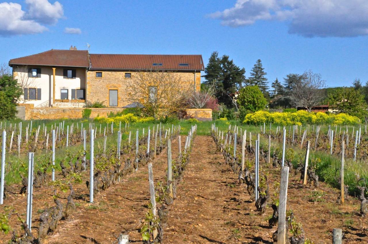 Le Clos Du Cher En Beaujolais Saint-Germain-Nuelles Dış mekan fotoğraf
